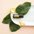 Óleo Essencial de Petitgrain doTERRA 15ml prato branco folhas tropicais laranja — aromaterapia CPTG