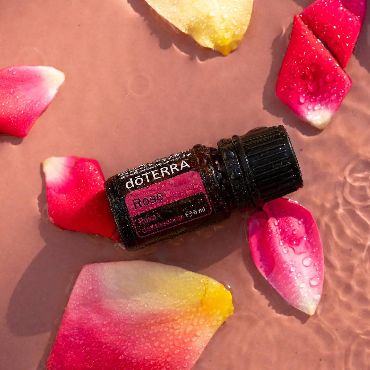 Óleo Essencial de Rosa doTERRA 5ml — água rosada com pétalas multicoloridas e gotas de óleo, aromaterapia, óleo essencial puro CPTG