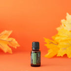Óleo Essencial de Sálvia Esclareia doTERRA 15ml — fundo laranja com folhas de outono bordô, aromaterapia, óleo essencial puro CPTG
