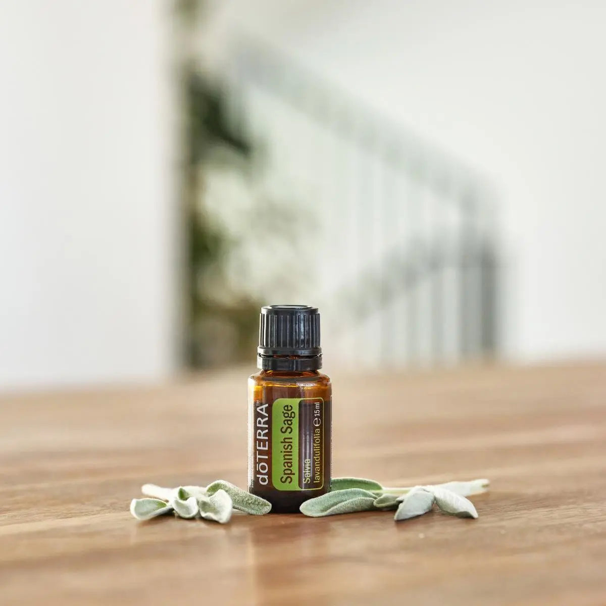 Óleo Essencial de Sálvia Esclareia doTERRA 15ml — frasco em mesa de madeira com folhas de sálvia fresca versão 2, aromaterapia, óleo essencial puro CPTG
