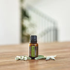 Óleo Essencial de Sálvia Esclareia doTERRA 15ml — frasco em mesa de madeira com folhas de sálvia fresca, aromaterapia, óleo essencial puro CPTG