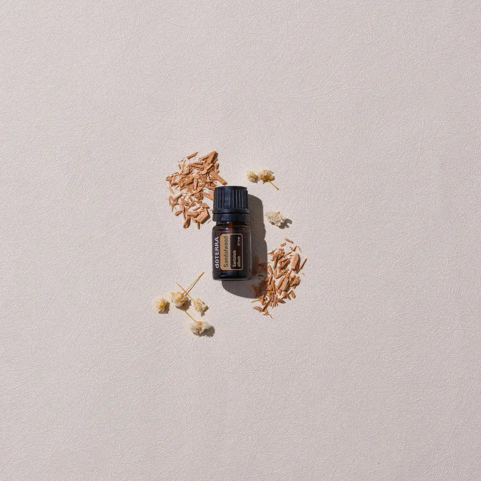 Óleo Essencial Sândalo Indiano doTERRA 5ml — aparas de madeira e flores brancas secas em fundo creme vista zenital, aromaterapia, óleo essencial puro CPTG