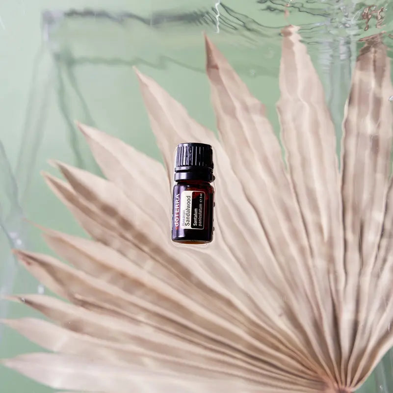 Óleo Essencial Sândalo Havaiano doTERRA 5ml — folha de palma seca com fundo verde água, aromaterapia, óleo essencial puro CPTG