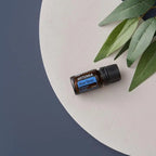 Óleo Essencial Blue Tansy doTERRA 5ml — prato branco com folha de eucalipto e fundo azul marinho, aromaterapia, óleo essencial puro CPTG