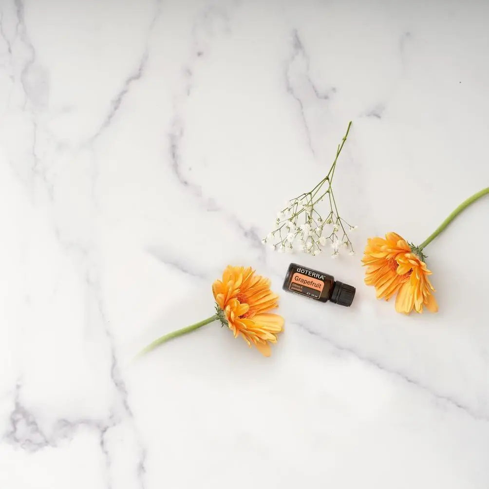 Óleo Essencial de Toranja doTERRA 15ml — gerberas laranja e gypsophila em mármore branco vista zenital, aromaterapia, óleo essencial puro CPTG