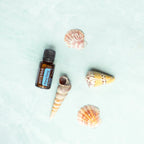 Óleo Essencial de Ylang Ylang doTERRA 15ml — conchas marinhas em fundo aguamarina, aromaterapia, óleo essencial puro CPTG