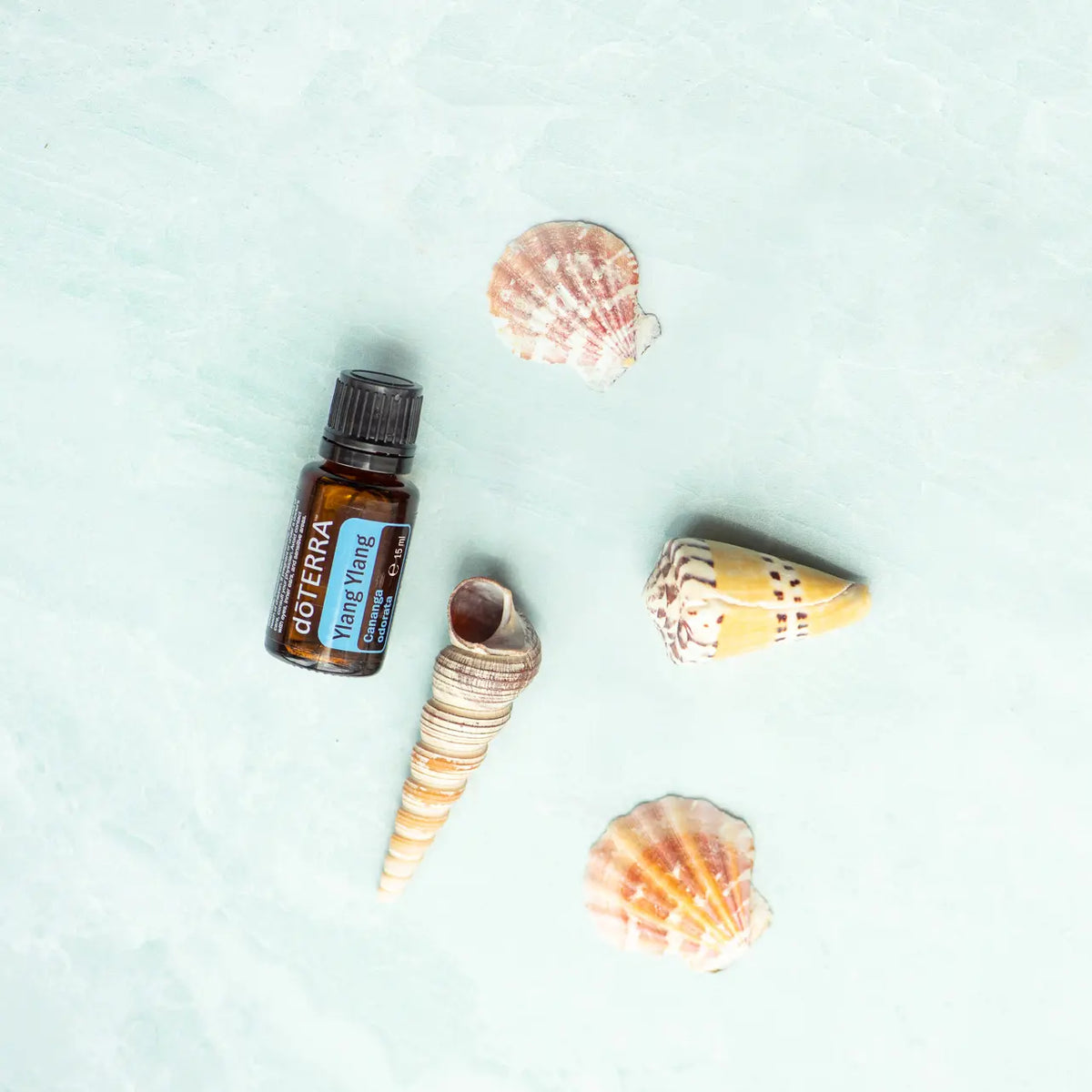 Óleo Essencial de Ylang Ylang doTERRA 15ml — conchas marinhas em fundo aguamarina, aromaterapia, óleo essencial puro CPTG