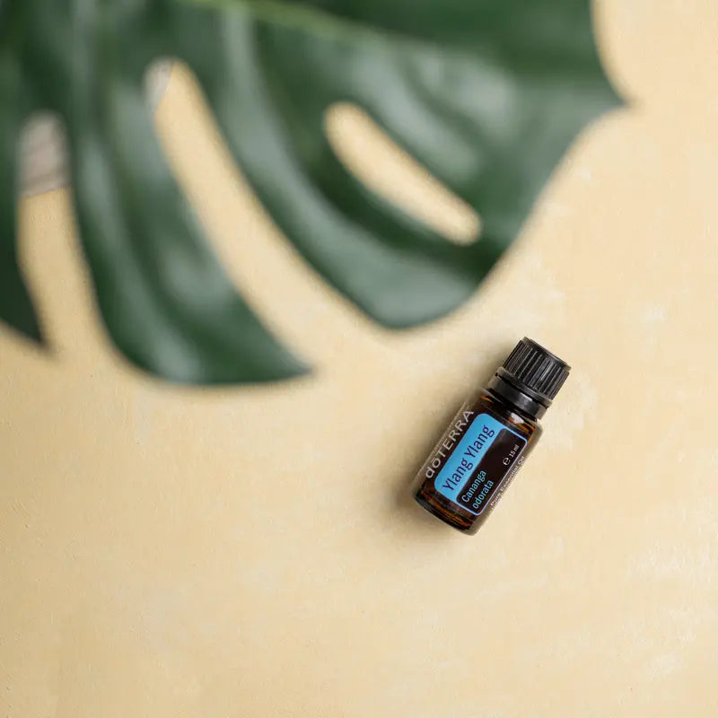 Óleo Essencial de Ylang Ylang doTERRA 15ml — superfície creme com folha de monstera, aromaterapia, óleo essencial puro CPTG