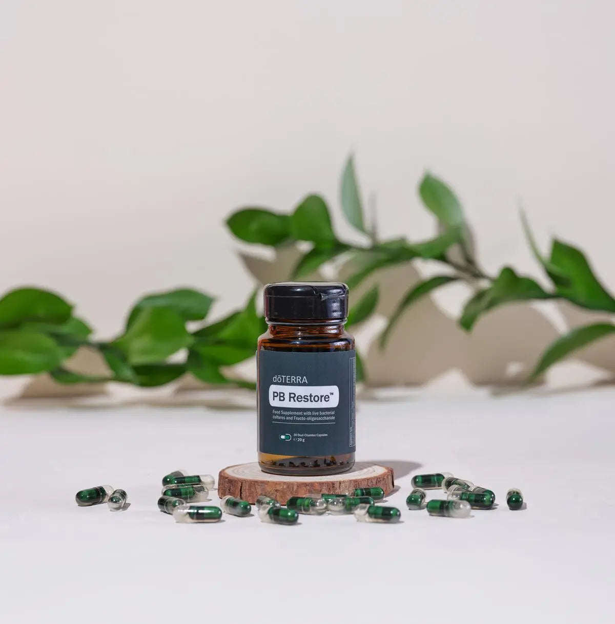 PB Restore doTERRA — frasco em rodela de madeira com cápsulas verdes e folhas, estúdio, suplemento CPTG