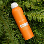 Spray Solar Mineral para o Corpo doTERRA SPF30 170g — fetos verdes, vista zenital, proteção solar natural CPTG