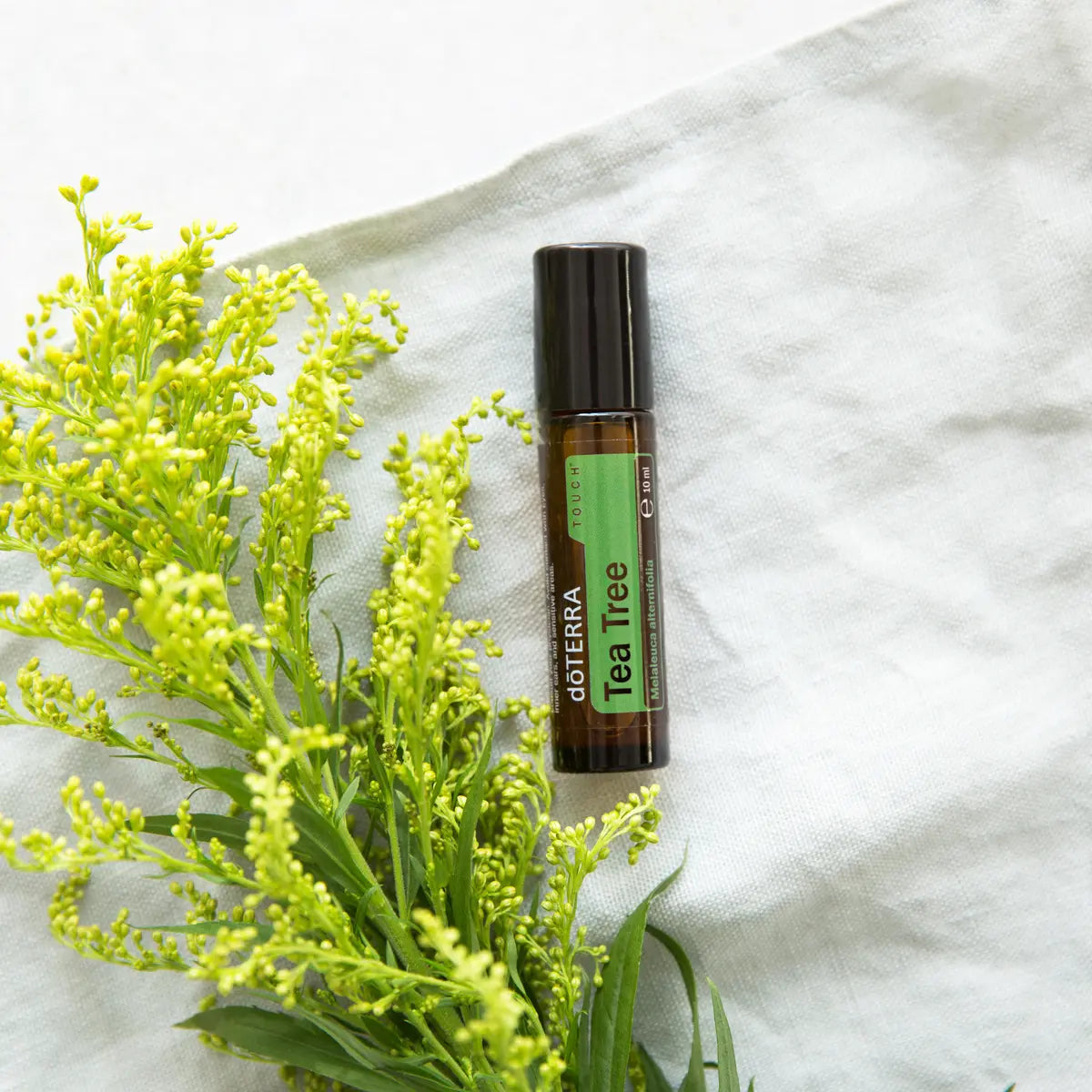 Melaleuca Touch doTERRA Roll-on 10ml — solidago com flores amarelas em linho branco cenital, puro CPTG