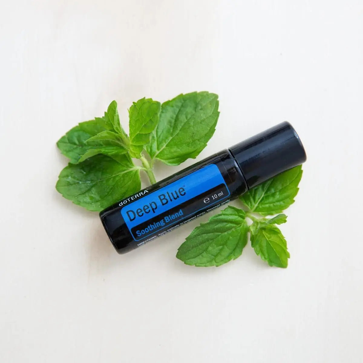Deep Blue Touch doTERRA Roll-on 10ml — folhas de hortelã fresca em superfície branca cenital, alivo natural CPTG