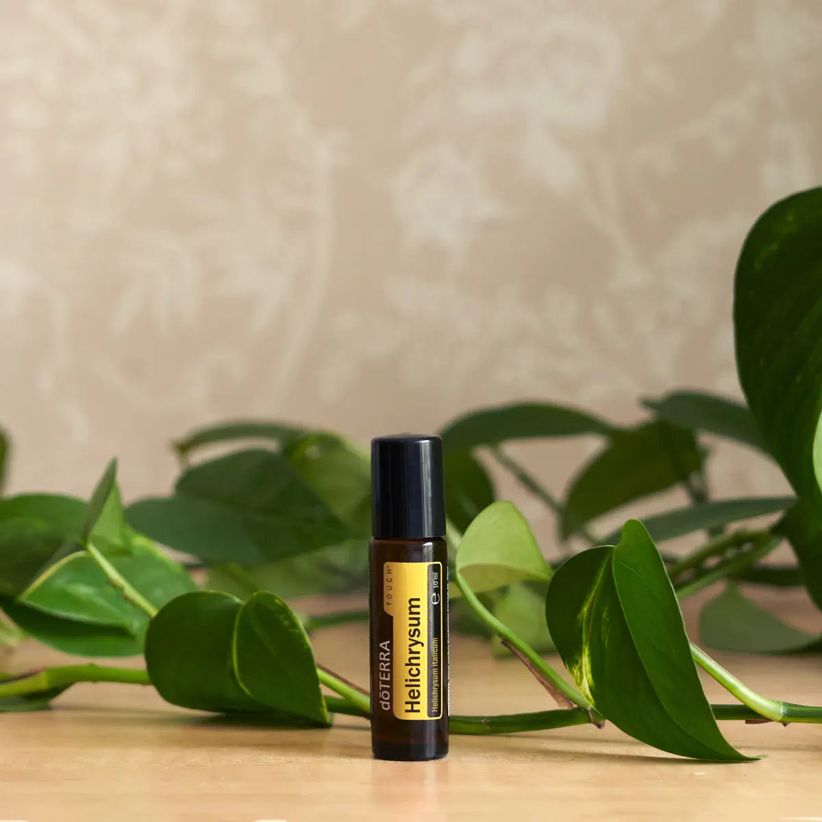 Helichrysum Touch doTERRA Roll-on 10ml — mão segurando em cena botânica, óleo imortal puro CPTG