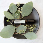 Roll-On Jasmim Touch doTERRA 10ml — prato preto com ramos de eucalipto em mármore, óleo essencial puro CPTG