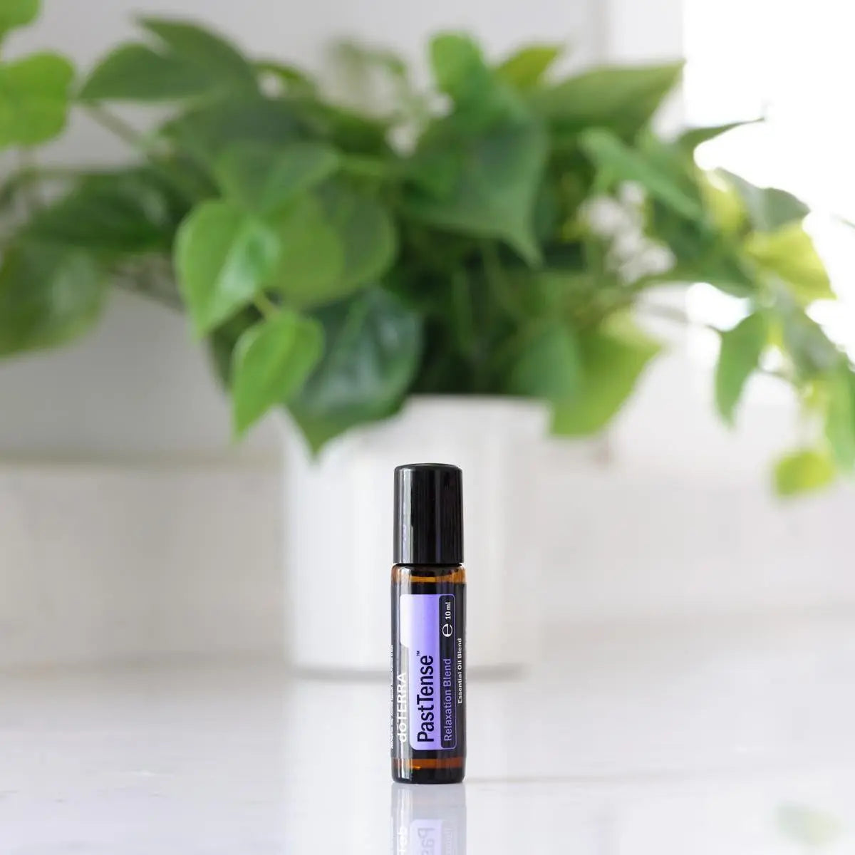 Roll-On PastTense doTERRA 10ml — bancada branca com planta pothos, mistura alívio de tensão CPTG