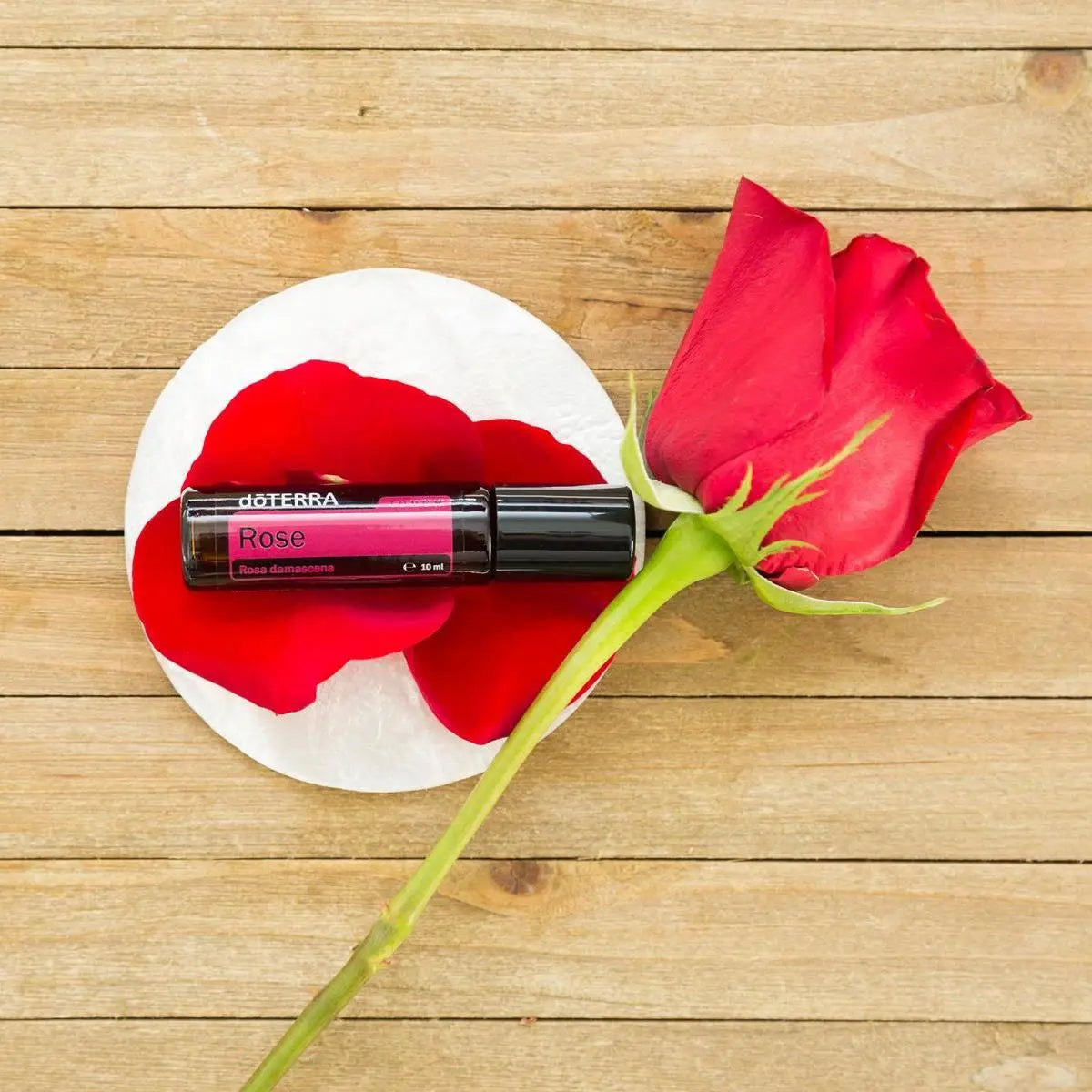 Roll-On Rosa doTERRA 10ml — base branca com rosa vermelha e pétalas em madeira vista de cima, óleo essencial CPTG