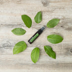 TerraShield doTERRA Spray 30ml — folhas verdes grandes em madeira branca, vista zenital, proteção natural CPTG