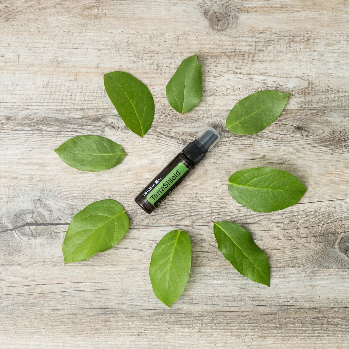 TerraShield doTERRA Spray 30ml — folhas verdes grandes em madeira branca, vista zenital, proteção natural CPTG