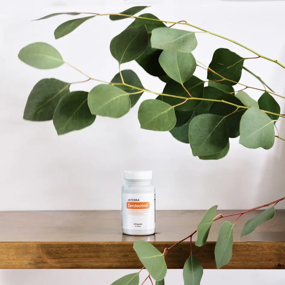 Complexo Zendocrine doTERRA 60 un frasco branco em prateleira com eucalipto — suplemento depurativo natural para fígado CPTG