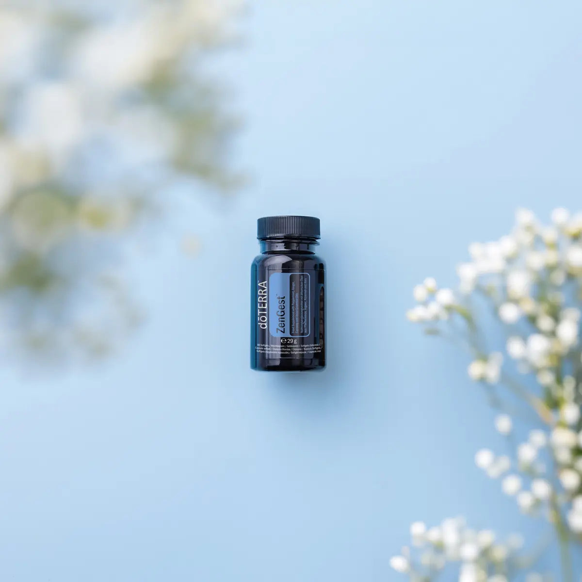 Cápsulas moles ZenGest doTERRA frasco com flores brancas em fundo azul vista de cima — suplemento digestivo natural CPTG