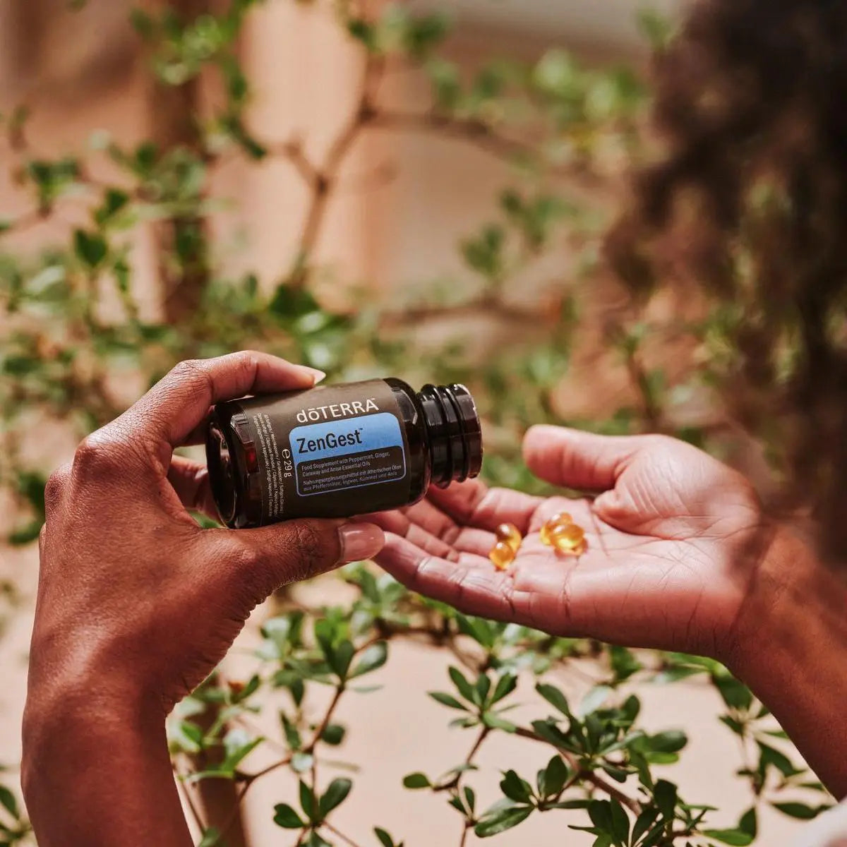 Cápsulas moles ZenGest doTERRA mãos vertendo softgels na palma em exterior — suplemento digestivo natural CPTG