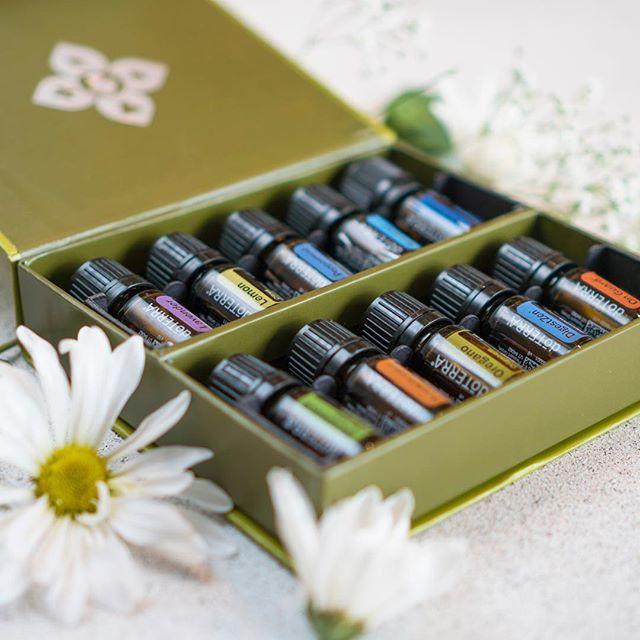 Conjunto completo de óleos doTERRA para uso diário familiar
